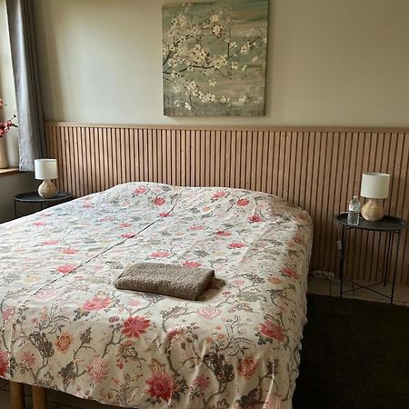 Au Coeur Des Collines, Charmette Villa Ellezelles Buitenkant foto
