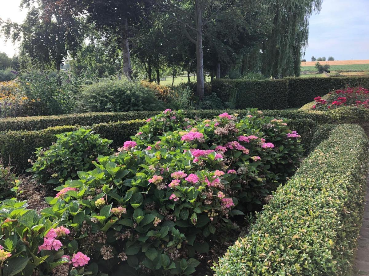 Au Coeur Des Collines, Charmette Villa Ellezelles Buitenkant foto